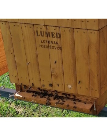 Včely produkčná rodina B...