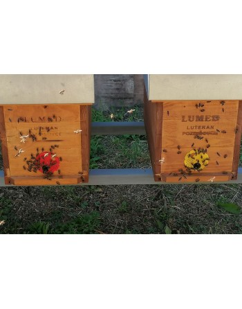 Včely B odloženec 5 rámikov...