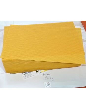 Kvalitné medzistienky B 10...